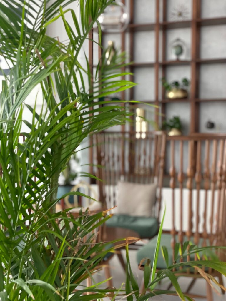 Elevate Your Space: 7 Tall Indoor Plants for Impressive Interiors